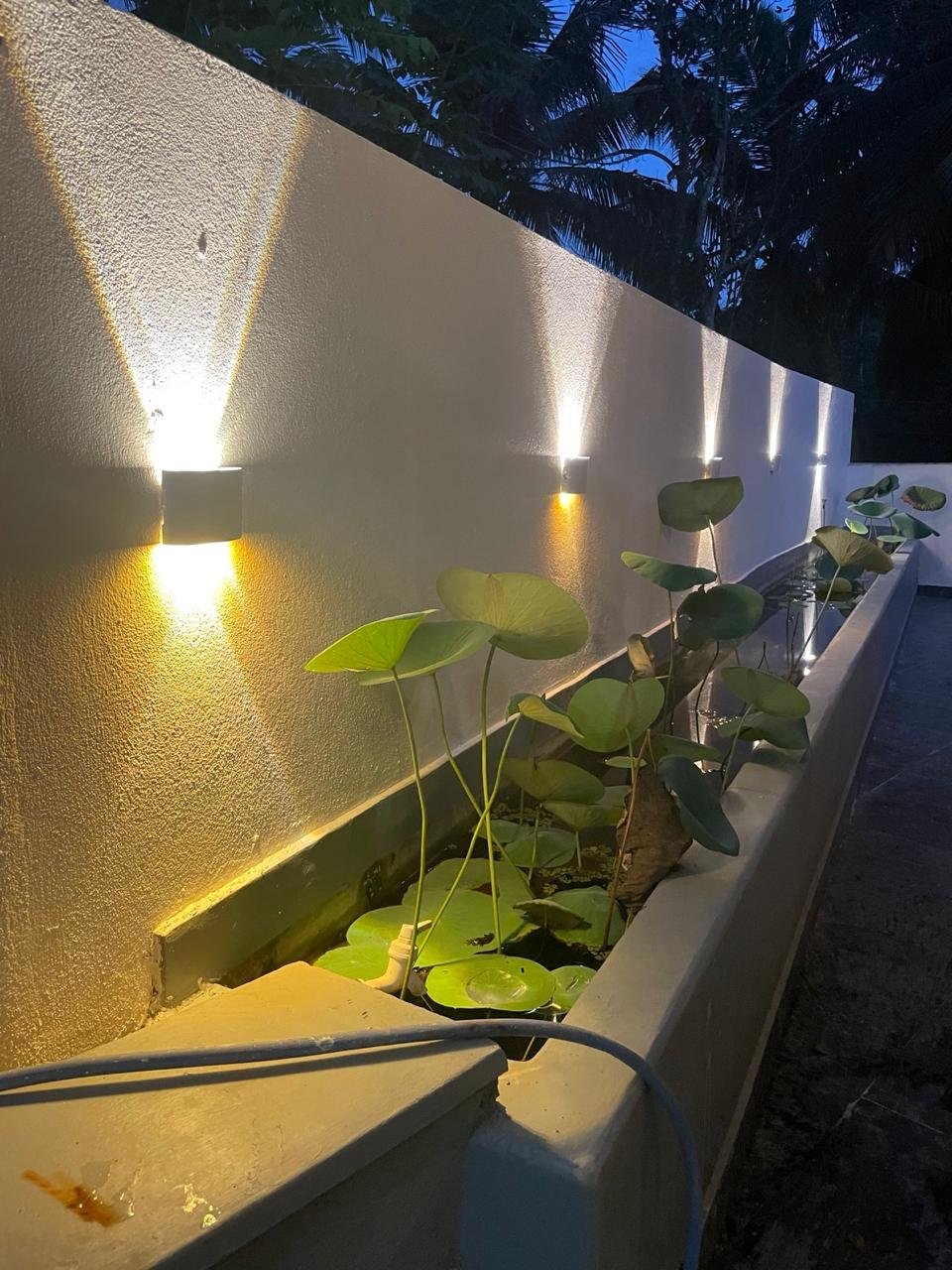 Villa Exterior Evening